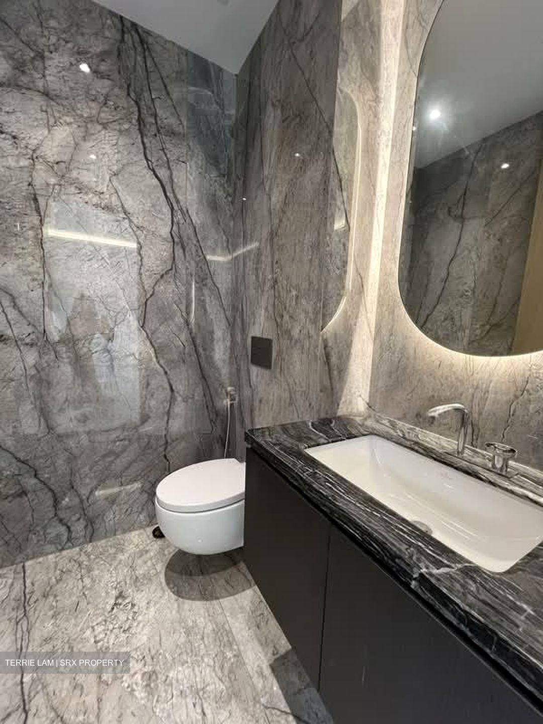 Shrewsbury Road (D11), Terrace #559830211